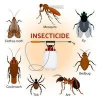 Инсектицид Ланнат 20%, к.е. (1 л)