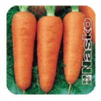 Семена моркови Карнавал
