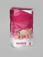 ЗЦМ «WELLPIG» (заменитель свиноматочного молока для выпойки поросят со 2-го и 10-го дня жизни)