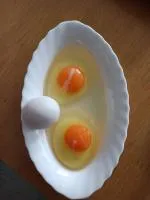 Яйцо куриное от производителя
